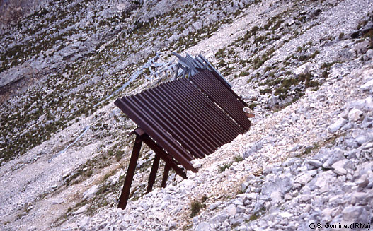 Rteliers paravalanche sous le sommet de Chamechaude