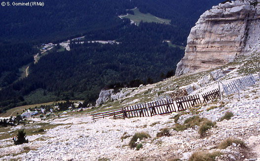 Rteliers paravalanche sous le sommet de Chamechaude (massif de la Chartreuse)