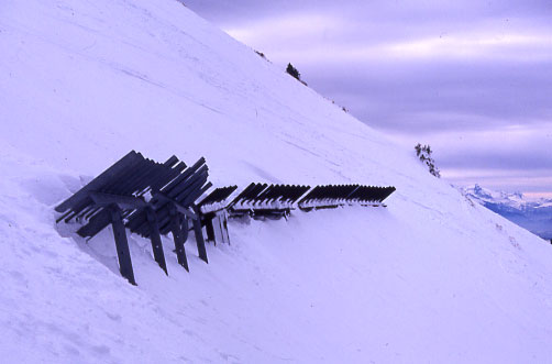 Rteliers paravalanche sous le sommet de Chamechaude (massif de la Chartreuse)