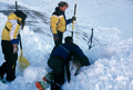 Entrainement de matres chiens d'avalanches (formation ANENA)