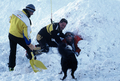 Entrainement de matres chiens d'avalanches (formation ANENA)