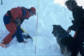 Entrainement de matres chiens d'avalanches (formation ANENA)