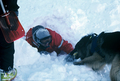 Entrainement de matres chiens d'avalanches (formation ANENA)