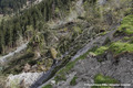 Glissement de terrain du Bersend - plusieurs hectares de forêt ont été emportés