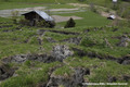 Glissement de terrain du Bersend - terrains fissurs et grange emporte