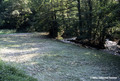 crue torrentielle du Breda