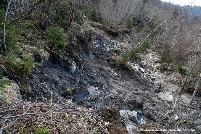 Ractivation du glissement de terrain du Chtelard - niche d'arrachement dans la zone des mires