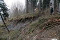 Ractivation du glissement de terrain du Chtelard - niche d'arrachement (zone de l'arbre bleu)