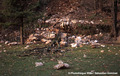 Chutes de pierres et de blocs depuis la falaise dominant le parc Karl Marx