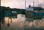 Crue de la Sane