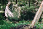 Chutes de pierres et de blocs sur le GR 549 (tour du Valbonnais-Beaumont)