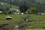 Eboulement depuis le Bois de Ratz - Roche Brune