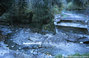Crue du Domnon secteur de Pont Rajat