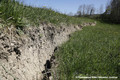 Glissement de terrain de Reyvroz - terrains fissurs en amont du GR5