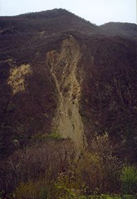 Ruines de Schilienne