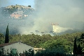 Feu de broussailles et de rsineux