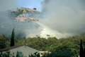 Feu de broussailles et de rsineux