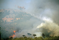 Feu de broussailles et de rsineux