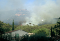 Feu de broussailles et de rsineux