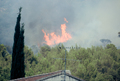 Feu de broussailles et de rsineux