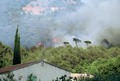 Feu de broussailles et de rsineux