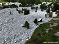 Crue du torrent des �tan�ons � la B�rarde - habitations engrav�es