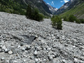 Crue du torrent des �tan�ons � la B�rarde - habitation engrav�e jusqu'au toit