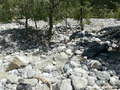 Crue du torrent des �tan�ons � la B�rarde - voiture emport�e par la crue