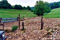 Ravinement dans une combe en crue dans le secteur de Cormrieu