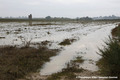 Inondations  Saint-Marcel-sur-Aude les 15 et 16 octobre 2018